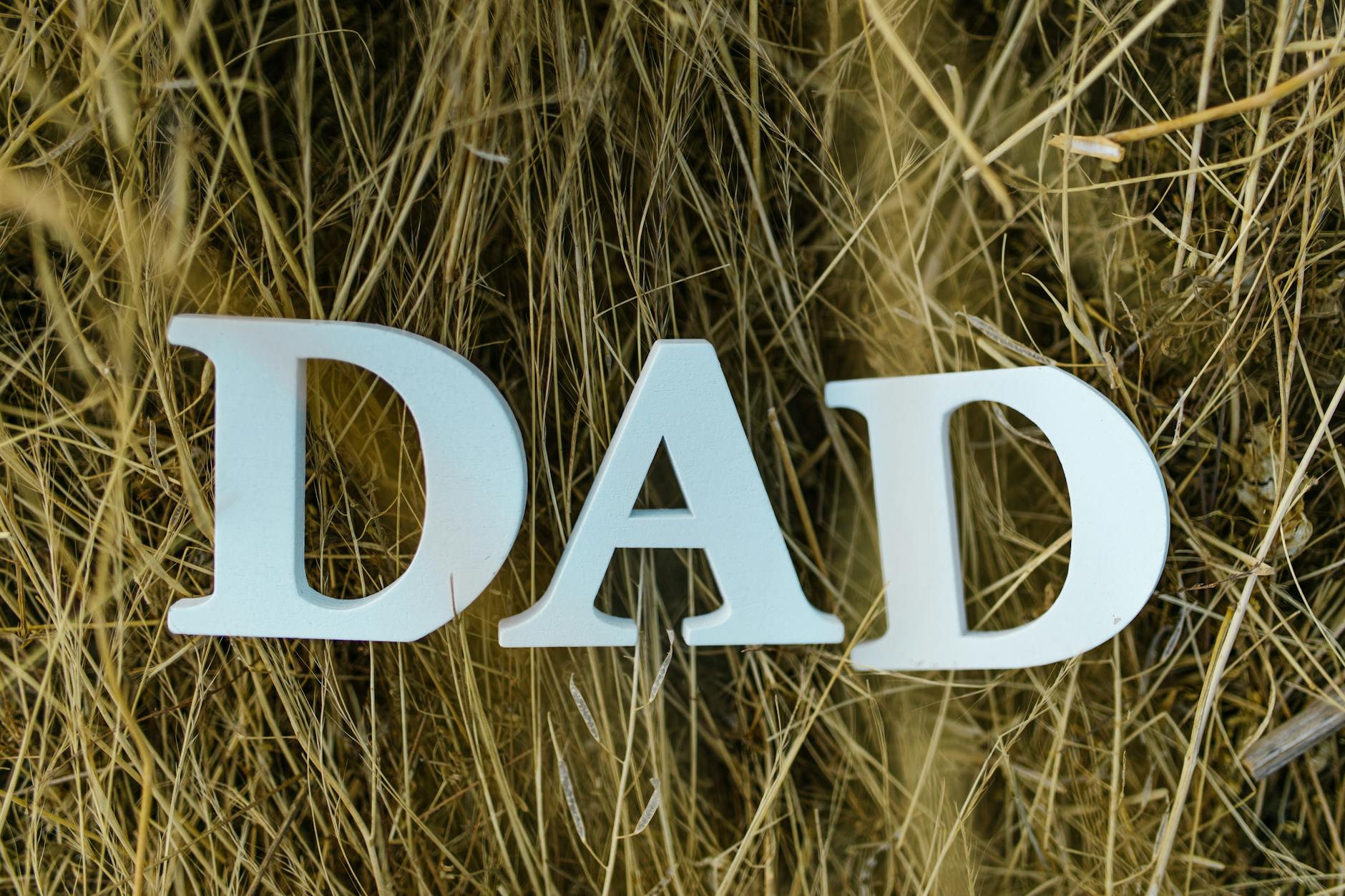 An Ode to the Great Dads