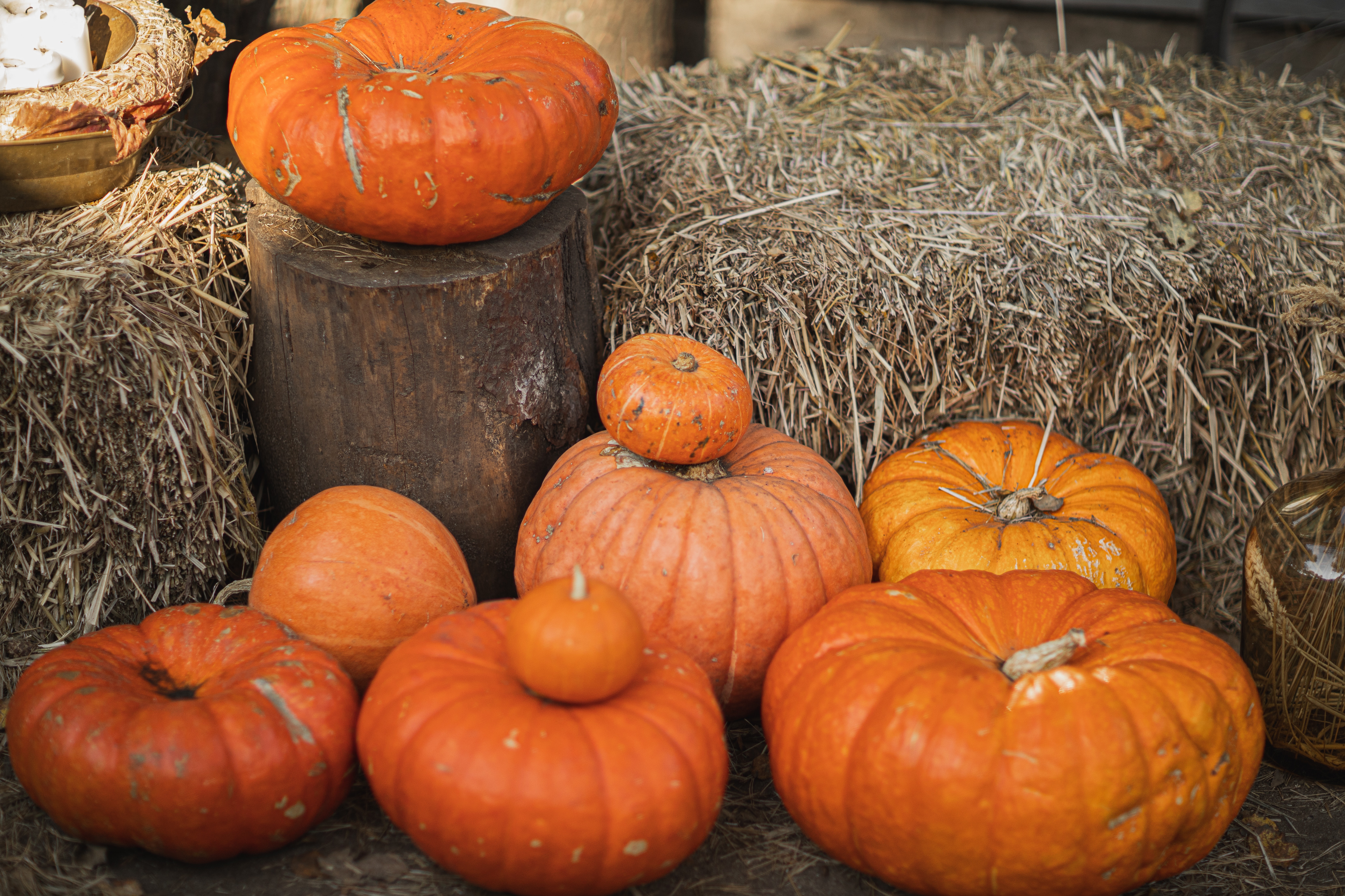 Fall Festival Birthday Party
