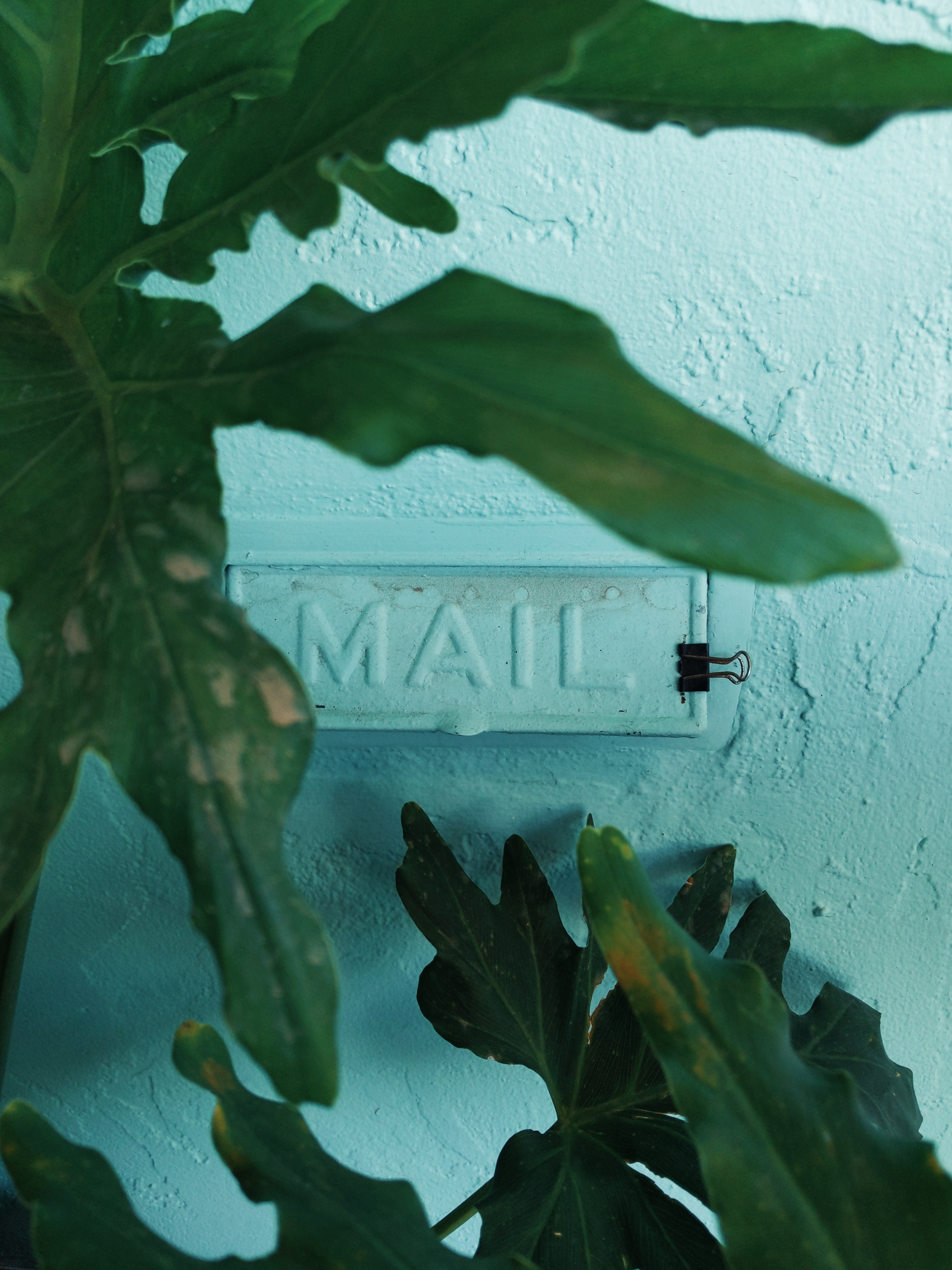 How to Mail-a-Hug During Quarantine